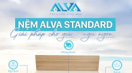 Thời gian sử dụng của một tấm nệm cao su thiên nhiên và những điều bạn nên biết!
