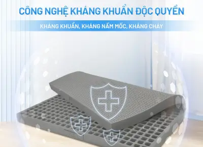 NỆM CAO SU THIÊN NHIÊN ALVA LUXURY