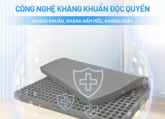 NỆM CAO SU THIÊN NHIÊN ALVA LUXURY