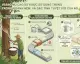 Vì sao mủ cao su được sử dụng trong ngành nệm, và đặc tính tuyệt vời của nó